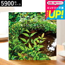 全品ポイントUP中!お中元 夏ギフト カタログギフト リンベル リンベル 婦人画報 百花(ひゃっか) / 内祝い 出産内祝い 結婚内祝い お祝い お返し 内祝い 返礼品 引出物 結婚引出物 記念品 ギフトカタログ 食べ物 誕生日プレゼント 贈答品 cj gws cpj 送料無料 敬老の日