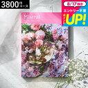 カタログギフト Mistral(ミストラル) <セージ> / お祝い お返し 内祝い 返礼品 引出物 結婚内祝い 結婚引出物 出産内祝い 記念品ギフトカタログ 食べ物 写真入り メッセージカード無料 名入れ 誕生日プレゼント 贈答品 cj プレゼント gws