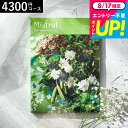 カタログギフト Mistral(ミストラル) <オレガノ> / お祝い お返し 内祝い 返礼品 引出物 結婚内祝い 結婚引出物 出産内祝い 記念品ギフトカタログ 食べ物 メッセージカード無料 名入れ 誕生日プレゼント 贈答品 cj プレゼント gws