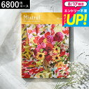 (選べるギフト カタログギフト)Mistral(ミストラル) <プルメリア> / 出産内祝い 内祝い 引き出物 結婚内祝い 引出物 内祝 ギフト 引っ越し 引越し お返し お祝い 食べ物 プレゼント 贈答品 cj プレゼント gws 御中元 敬老の日ギフト お中元 夏ギフト 残暑見舞い