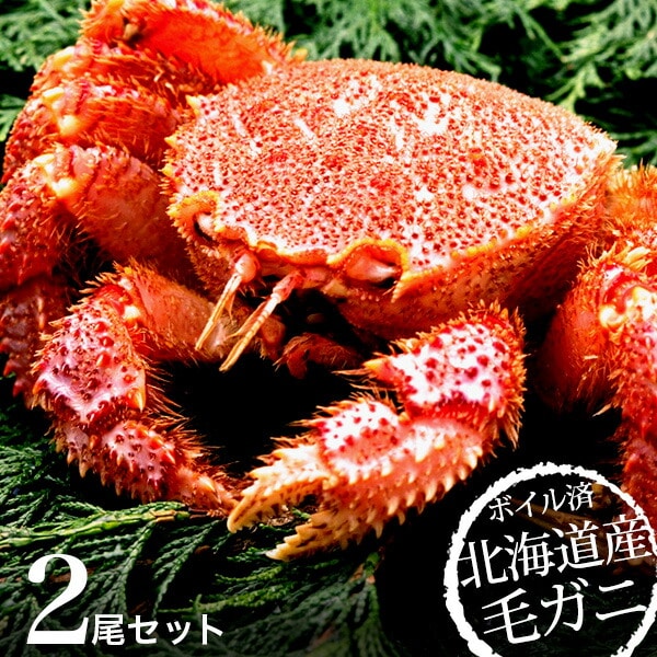 敬老の日 残暑見舞い ギフト 食べ物 えりも産 活蒸し毛がに（かに カニ 毛カニ 毛ガニ） 送料無料 (メーカー直送)(のし・包装紙・メッセージカード不可) 冷凍便