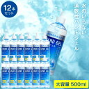送料無料 即納 アルコール ハンドジェル 洗浄タイプ 500mL×12本セット/ TOAMIT 東亜産業 のし・包装・メッセージカード不可 誕生日プレゼント 贈...