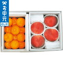 全品ポイントUP中!お中元 夏ギフト フルーツ 送料無料 光センサー桃&ハウスみかん メーカー直送 / LTDU フルーツギフト 果物ギフト 桃 みかん 2025 御中元専用 贈答品 贈り物 詰合せ 詰め合わせ セット JGS