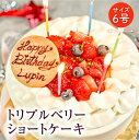 トリプルベリーショートケーキ6号 / メーセージ入り 誕生日 記念日 お祝い パーティー ホールケーキ 爽やか 上品 名入り スイーツ 贈り..