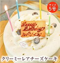 クリーミーレアチーズケーキ 5号 15cm （4〜6名様用) / メーセージ入り レアチーズケーキ 誕生日 記念日 お祝い パーティー ホールケーキ マスカルポーネ クッキー 爽やか クリーミー 上品 スイーツ 贈り物 プレゼント 還暦 人気 その1