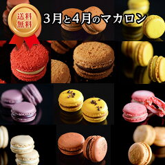 https://thumbnail.image.rakuten.co.jp/@0_mall/patisserie-toma/cabinet/renew/05319498/05870875/240304_buybanner.jpg