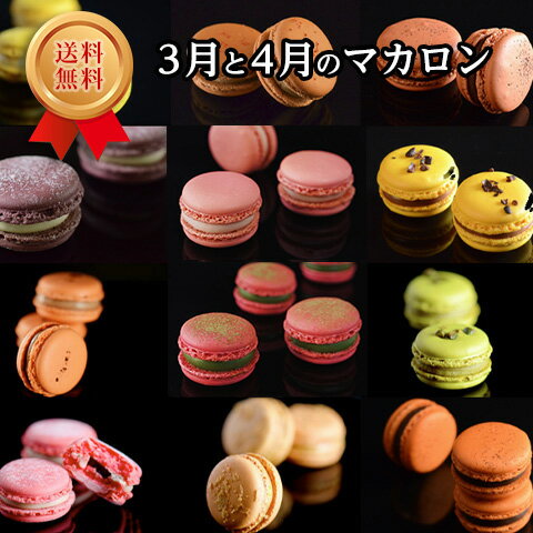 【3月と4月のマカロン(12個12種)】ホワイトデー スイーツ ギフト お誕生日祝 内祝 お礼 送料無料 熨斗 クール便 ※北海道・九州は400円加算（沖縄・離島は発送できません）