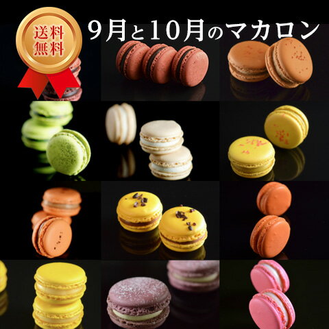 【送料無料・ギフト】9月と10月のマカロン(12種24個)※12個入が2箱になります熨斗・クール便詰め合わせ洋菓子お土産記念日お返しお誕生日祝結婚祝ギフト内祝お返し贈り物御祝※北海道・九州は260円加算(沖縄・離島は発送できません)