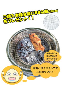 *全品5%OFFクーポン発行中* バーベーキューコンロ 小型 バーベキューグリル マルチコンロ 薪ストーブ 焚火台 焚き火台 ステンレス 木炭コンロ 炭受け皿 バーベキュー 災害 キャンプ ピクニック アウトドア こんろ ストーブ 暖かい 庭 ギフト 木炭 ad151通販格安セール情報 楽天 通販