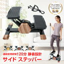 ステッパー サイドステッパー 健康器具 足踏み 健康ステッパー ダイエ...(4)