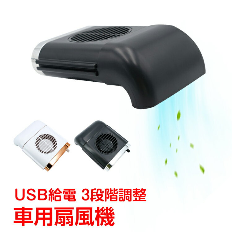 ݥǺ10%OFF   졼 ե usb  إåɥ쥹 3ʳĴ ꡼ ѡ Ǯк   ee273