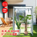 \★30日・1日限定!全品5%OFFクーポン★/ビニール温室 コンパクト スリム 簡単 組立 ファスナー 透明 家庭菜園 野菜 植物 花 鉢 観葉植物 多肉植物...