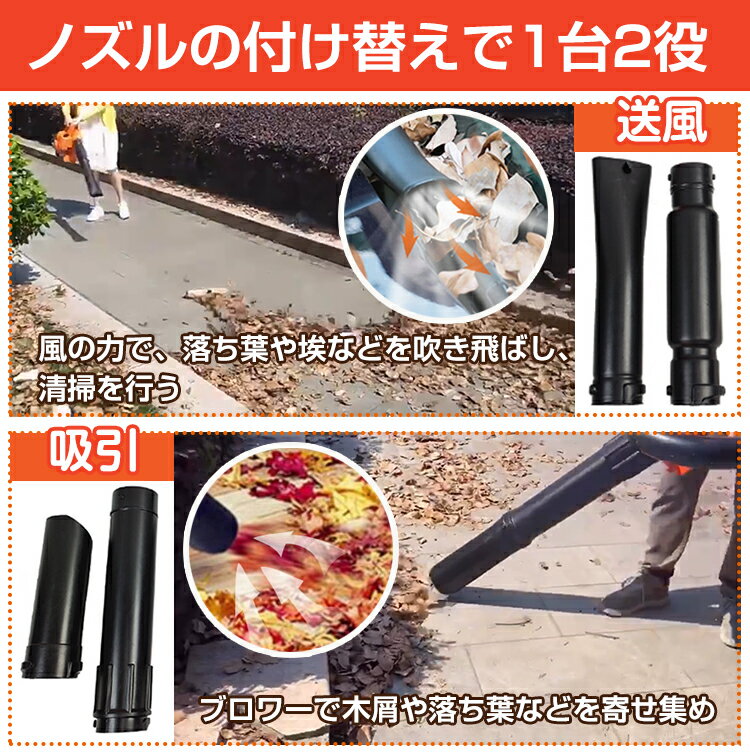 ��10(��)����15%����CP�ۥ֥���Х��塼�� ���󥸥� �֥���Х��塼�� ���󥸥�֥���Х��塼�� ������ݽ��� 1��2�� 25.4cc ���󥸥�֥��� �֥����� �֥�� �Х��塼�� ������ ������ ���е� ����