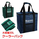 *ランキング1位* クーラーバック クーラーバッグ 大型 20l 保冷バック 保冷バッグ 折りたたみ 可能 保温バック 大容量 クーラーボックス バスケット 断熱 スポーツ アウトドア ピクニック ソフトタイプ od319