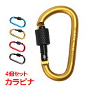 \★30日・1日限定!全品5%OFFクーポン★/カラビナ ネジロック機能付きカラビナ アルミ製 強化 おしゃれ 4個セット 機能的 必需品 アウトドア キャンプ...