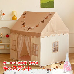 キッズテント 子供テント カラーボール ボールテント 子供部屋 シンプル おもちゃ プリンセステント ままごと テント お誕生日プレゼント クリスマス プレイハウス 室内 pa144