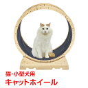 猫 トレッドミル キャット ホイール 安い ローラー ルームランナー 回し車 観覧車 安全 エクササイズ おもちゃ ランニング ペット pt071