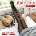 \★24H限定!5%オフクーポン★/裏起毛タイツ 2枚セット 透け感 美脚 極暖 SNSで話題 暖かい つま先まで 裏起毛 あったかタイツ レディース フリーサ...