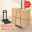 \★7.20(日)24H!5%OFFクーポン★/キャリーカート 折りたたみ 折り畳み 台車 アウトドア 耐荷重50kg 軽量 2kg 高さ2段階 頑丈 コンパクト ワンタッチ 4輪 キャスター 荷締めゴム 荷崩れ防止 ゴムバンド 運搬 旅行 買い物 ゴミ捨て キャンプ 釣り レジャー wk010