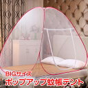 【楽天1位】蚊帳 ワンタッチ ワンタッチ式蚊帳 大判 幅 250cm x 高さ 160cm ワンタッチ テント テント式 虫除け 虫刺され防止 虫よけ 赤ちゃん ベビー ビッグサイズ ベッド 子供 大人 添い寝 1年保証 ■[送料無料]