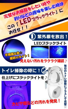 【終了間近!全品3%OFFクーポン】紫外線 懐中電灯型 ブラックライト led ハンディライト 見える 掃除 トイレ ペット 釣り 宝石鑑定 ジェルネイル硬化 汚れ確認 zk173