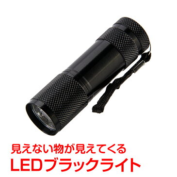 【終了間近!全品3%OFFクーポン】紫外線 懐中電灯型 ブラックライト led ハンディライト 見える 掃除 トイレ ペット 釣り 宝石鑑定 ジェルネイル硬化 汚れ確認 zk173