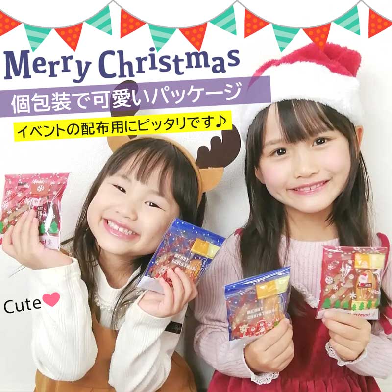 【送料無料】クリスマス お菓子 詰め合わせ 業務用 1000個 お得セット キッズ サンタ クリスマスお菓子業務用 クリスマスプレゼント ギフト プレゼント イベント 駄菓子 子ども会 お楽しみ会 クリスマスプレゼント 子供 女の子 3歳 4歳 5歳 6歳