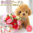 【14時まで当日発送】母の日 遅れてごめんね 花 花束 そのまま飾れる カーネーション ぬいぐるみセット 日付指定 可能 送料無料 2025 フラワーギフト 誕...