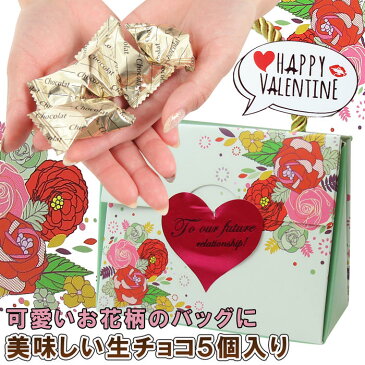 バレンタイン 義理チョコ 可愛いバッグに 美味しい生チョコ入りバレンタインチョコ バレンタイン 義理チョコ バレンタイン 大量 バレンタイン 義理チョコ 会社 バレンタイン チョコレート 領収書可 生チョコ 2018 クリスマスプレゼント 子供 女の子 3歳 4歳 5歳 6歳