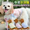 犬服 春夏 可愛い 涼しい ふりふり ワンピース かわいい 女の子 春 夏 春夏 春服 夏服 春物 夏物 夏用 犬用品 ドッグウェア 汚れ防止 レースワンピース