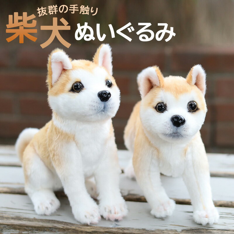 犬 ぬいぐるみ リアル いぬ イヌ 本物 そっくり ワンちゃん わんちゃん ギフト プレゼント 柴犬 豆柴 子犬 小型犬 動物 いぬのぬいぐるみ 犬のぬいぐるみ かわいいぬいぐるみ 犬雑貨 かわいい 可愛い 癒し 愛犬 ギフト