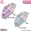 【キッズ/ジュニア傘 40cm】 CHERRY PRINCESS 【グラスファイバー骨 透明窓】31192 31193 かさ アンブレラ umbrella 子供 手開き ネーム まとめ買い パティズ あす楽 140size