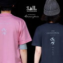 tシャツ ティーシャツ 半袖 ユニセックス 星 星座 椅子 宇宙 映画 CINEMA CASSIOPEIA プリント 重ね着 カジュアル しっかり 丈夫 綿100％ メンズ レディース パティ SAIL セイル 