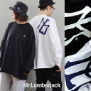 tシャツ 長袖 ロングtシャツ ワイド すっきり 着痩せ レディース メンズ ロゴ ワンポイント プリント しっかり 丈夫 柔らか 綿100 コットン ロンt 長t 大きいサイズ 春 カットソー ロング丈 ティーシャツ トップス 無地 Mr.Lumberjack ミスターランバージャック