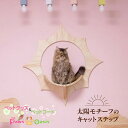 MYZOO マイズー SOLAR キャットステップ おしゃれ 天然木 太陽型 木目柄 壁面アート 無垢材 パイン材 ねこステップ 猫家具 壁取り付け 滑りにくい おしゃれナチュラル