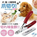 猫用爪切り 犬用爪切り ペット ネイルトリマー セット 水洗い 丈夫 ステンレス ギロチンタイプ 日本ブランド ペット用 爪やすり付き 獣医師 トリマー Odd...