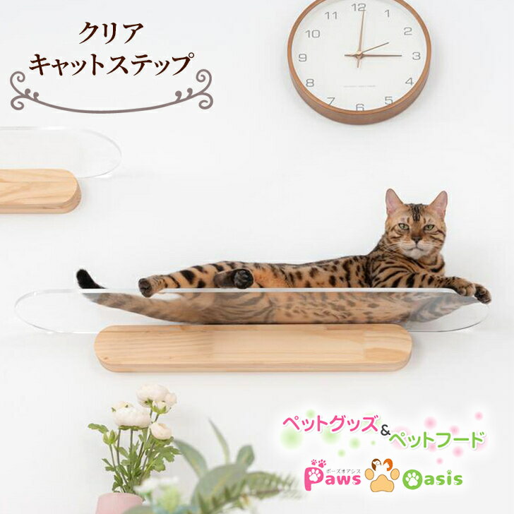 MYZOO マイズー キャットステップ おしゃれ OBLONG オブロング サイズL クリア キャットウォーク 壁 壁面アート ねこステップ 猫家具 壁取り付け ねこベット インテリア 90cm