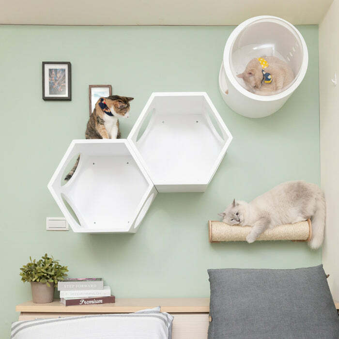 MYZOO �ޥ����� ����åȥ����������å� ϻ�ѥϥ��� �ۥ磻��+������GAMMA�ۥ磻��+CYLINDER ����åȥ������� ���襤�� �� ����åȥ��ƥå�