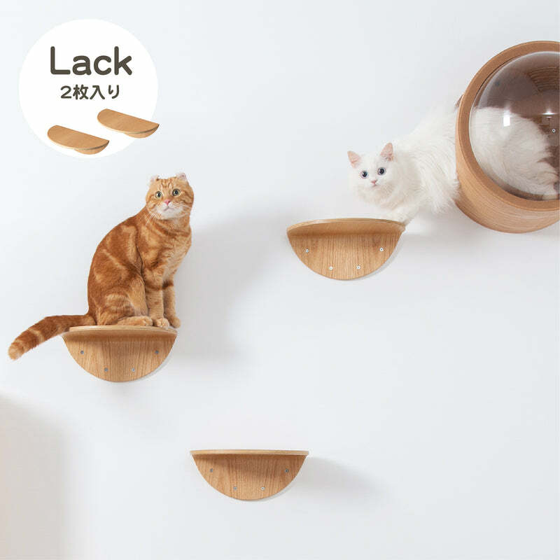 MYZOO マイズー ROUNDLACK キャットステップ おしゃれ ラウンドラック キャットウォーク かわいい 多用途ステップ キャットインテリア 全猫種 キャットシェルフ 2個セット