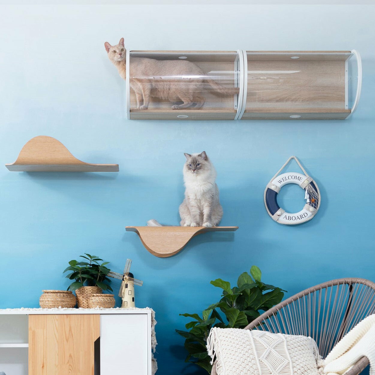 MYZOO ޥ åȥå TUNNEL +STINGRAY åȥ 襤