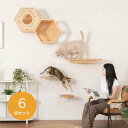 MYZOO マイズー 猫の間セット 六角ハウス+自然の屏カバー+CORK+CORK-R