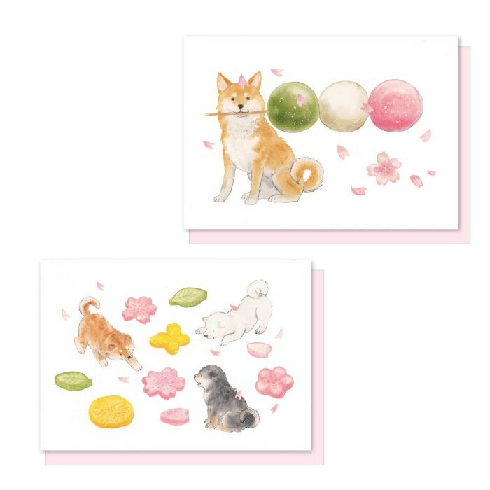 Ƹ աФ̤ȽդΤĥ  ꡼ƥ󥰥 ץ쥼 ƥ֥ݥ졼