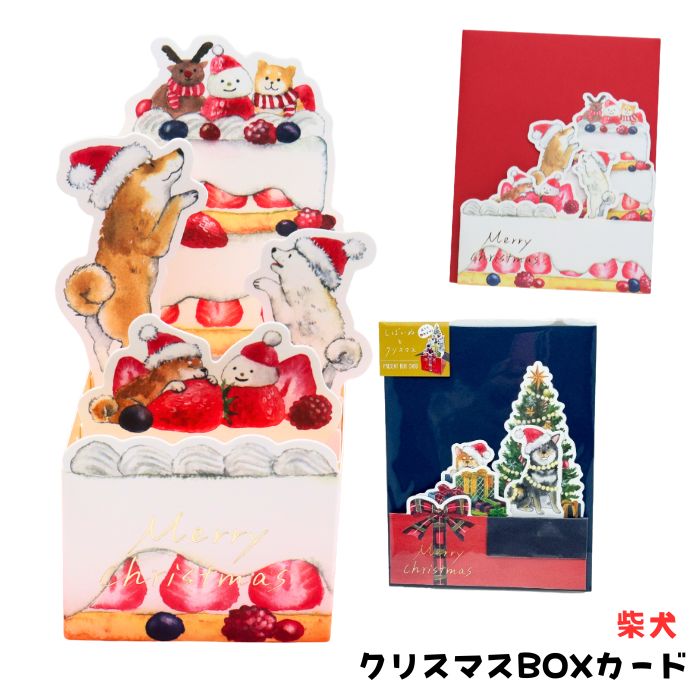 Ƹ Ф̤ȥꥹޥBOX ꡼ƥ󥰥 Х   ƥ֥ݥ졼