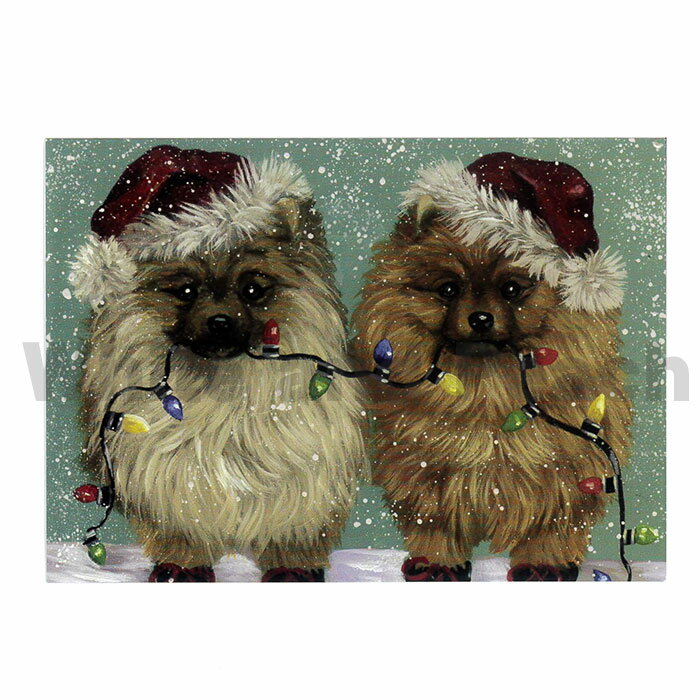 【訳あり・在庫処分】ポメラニアン クリスマスカード グリーティングカード Suzanne 犬柄 封筒付 犬雑貨