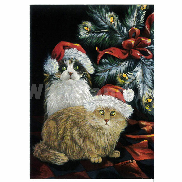 猫 クリスマスカード Suzanne Kitty Glitter グリーティングカード GC551
