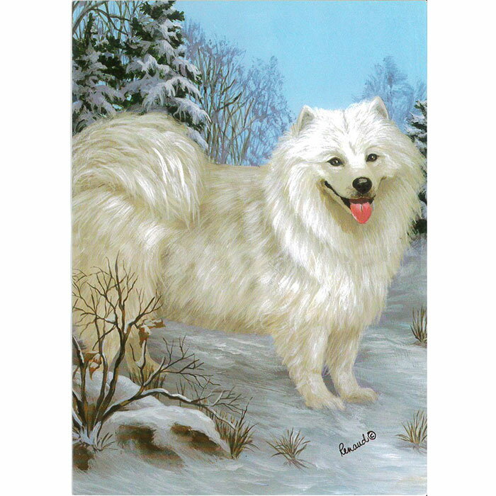 ⥨ å Suzanne ꡼ƥ󥰥 ꥹޥ  