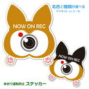 選べる2タイプ コーギーのお尻 ステッカー ドライブレコーダー録画中 ウェルシュコーギー