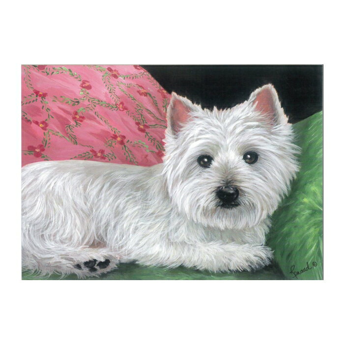 ꥫľ͢ Suzanne ȥϥɥۥ磻ȥƥꥢ West Highland Thinking of You Card ꡼ƥ󥰥...