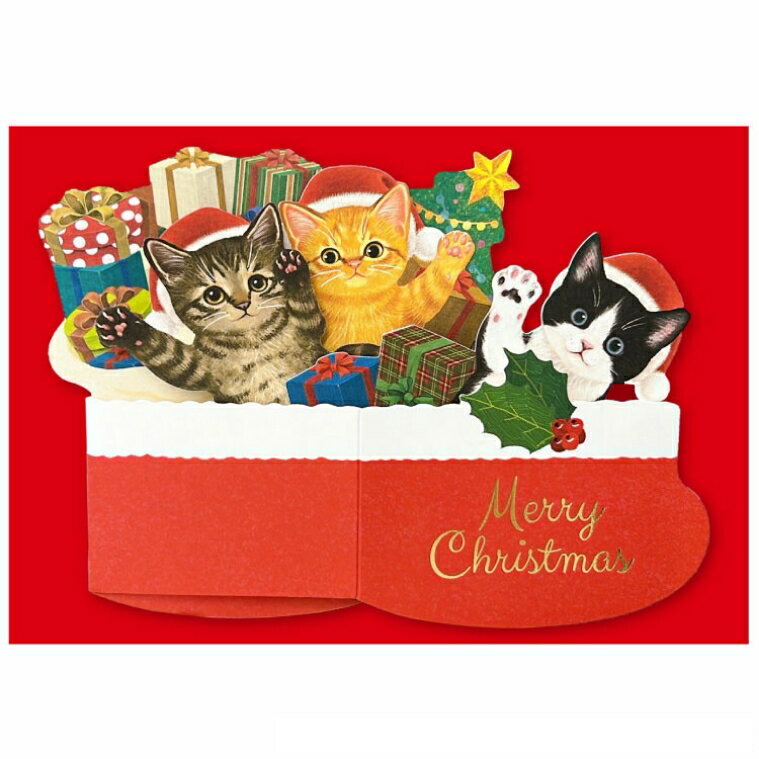 եꥷǭ ꥹޥ BOX CMG-597 ǭ ƥ֥ݥ졼 ꥹޥ