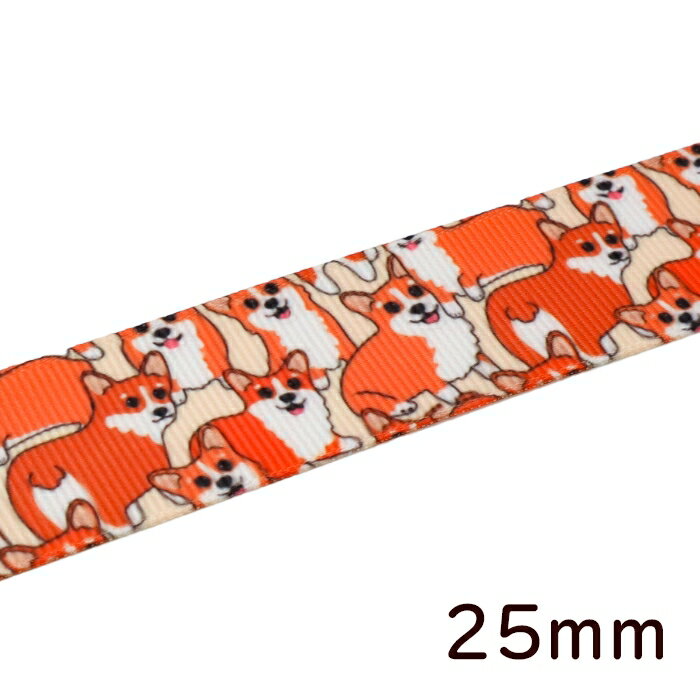 1m 25mm ܥ 륷女ڥ֥  ˥ޥ